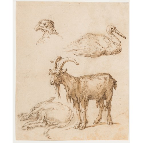 A Sheet of Animal Studies: An Eagle, a Stork, a Goat and a Donkey
